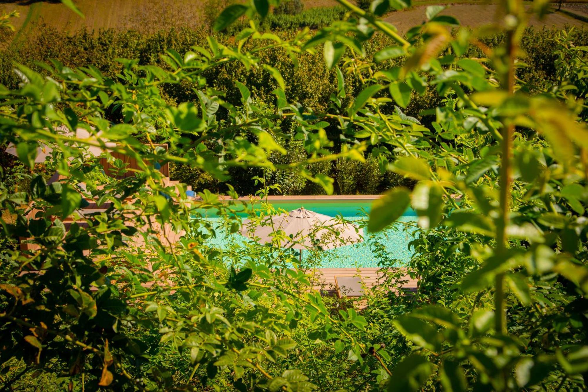 Pampucet Bed and Breakfast Colcavagno Exteriör bild